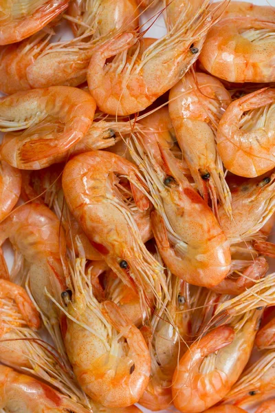 Lot of boiled shrimps closeup