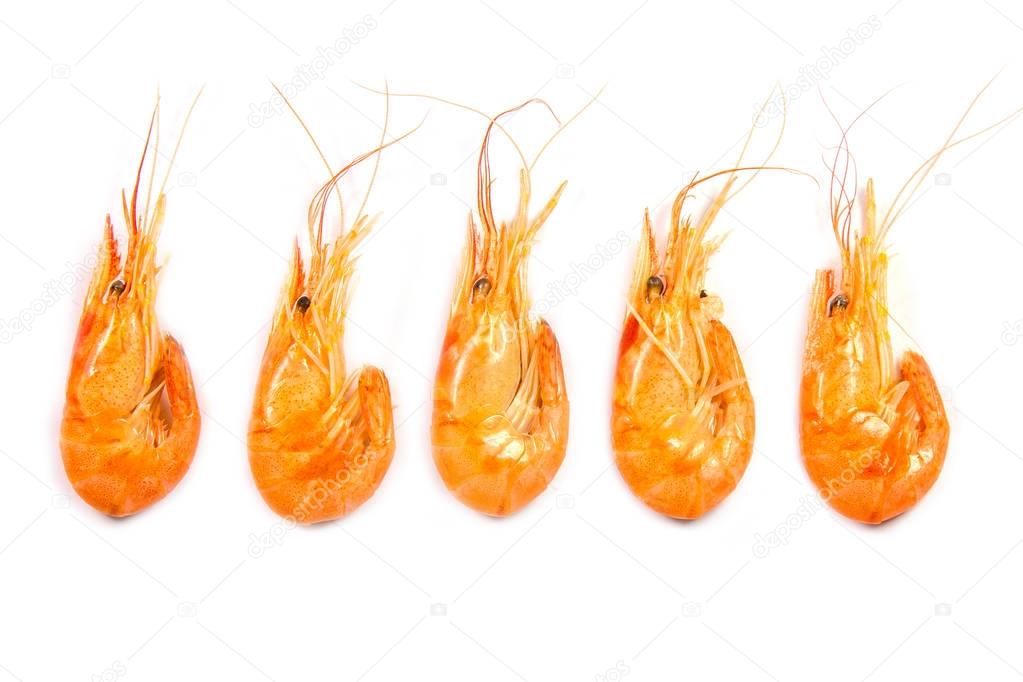 Five boiled shrimps in a raw isolated on white background