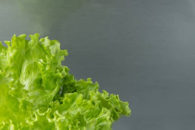 Yeşil salata yaprağı closeup IA na köşe ile gri arka plan