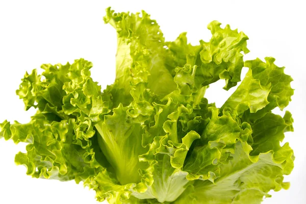 Стек листя салату ізольовано на білому тлі — стокове фото