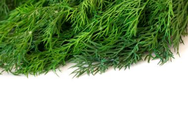 Yeşil dereotu ile yer altındaki beyaz arka plan üzerinde izole