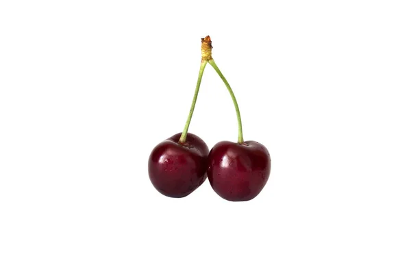 Sweet red cherries on a stem isolated on white background — Stock Photo, Image