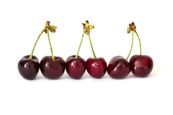 Three couples of connected cherries with a stem in a raw