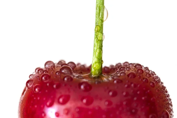 Cereja vermelha com gotas de água isoladas no fundo branco — Fotografia de Stock