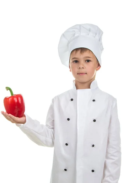 Χαριτωμένο αγόρι με κόκκινο πιπέρι σε στολή σεφ σε λευκό φόντο — Φωτογραφία Αρχείου