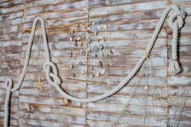 Net iple deniz kabukları duvardaki