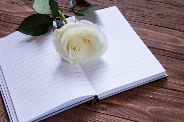 Poesía romántica. Cuaderno vacío con rosa de lujo blanco — Foto de Stock