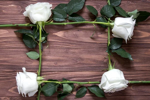Marco de rosas largas blancas en la superficie de madera. Idea original de regalo orgánico — Foto de Stock