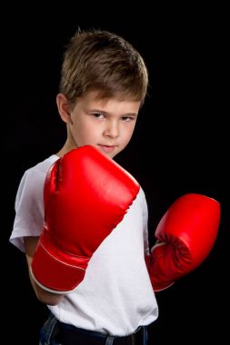 Kırmızı eldivenli bir kızgın, kendine güvenen boksör. Savunma pozisyonu portre siyah arka plan üzerine