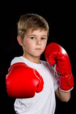 Düz boks saldırı tekme, kırmızı boks eldivenleri gösteride. Kendine güvenen ciddi boksör portre