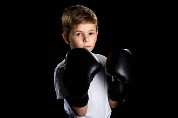 Mały portret boksera w czarne rękawice bokserskie w pozycji obronnej — Zdjęcie stockowe