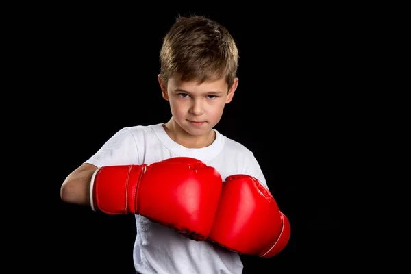 Portret pewność, zły bokser z czerwone rękawice bokserskie razem. Portret pozycja bronić na czarnym tle — Zdjęcie stockowe