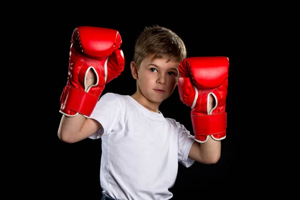 Retrato de boxeador con las manos arriba en guantes de boxeo rojos. El retrato de la posición de curiosidad sobre el fondo negro —  Fotos de Stock