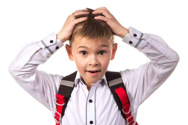 Retrato de menino da escola inteligente desnorteado com as mãos na cabeça, fundo branco — Fotografia de Stock