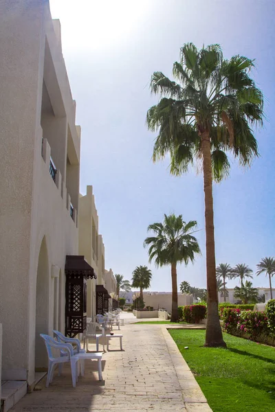 Güzel sokak ile Mısır tatil beyaz sarayda — Stok fotoğraf