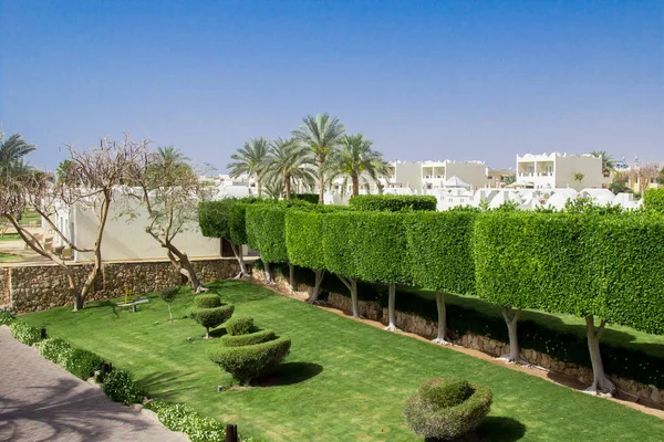 Hotel resort ve geleneksel Arap tarzında inşa güzel bir Bahçe — Stok fotoğraf