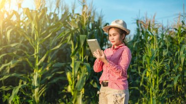 Mısır çiftçileri, mısır hastalıklarını uzmanlarla teşhis etmek için iletişim teknolojisi kullanıyorlar..