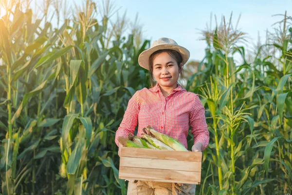 Corn planter holds a wooden crate that is full of corn pods with a smiling face.