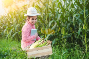 Mısır çiftçileri, ürünün çok tatmin edici olmasından sonra mutluluklarını gülen bir yüzle ifade ettiler..