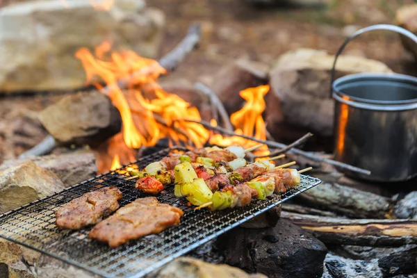 Barbekü / Biftek Kızartması doğal bir kamp atmosferinde. Dağda kamp yaparken dinleniyorum. Tatil konseptinde etkinlik.