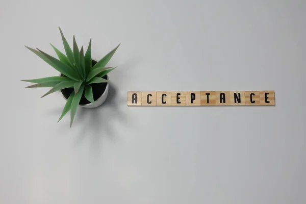 The word Acceptance written in wooden letter tiles on a white background.  Concept agree in business.