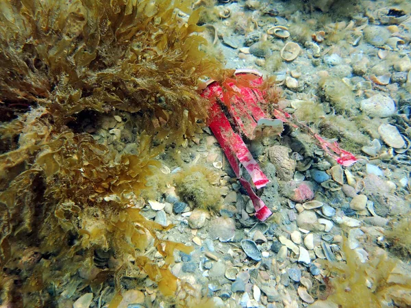 Červený Plastový Kelímek Dně Oceánu Zahozený Neopatrným Člověkem Environmentální Problém — Stock fotografie
