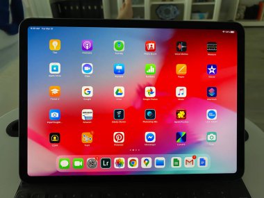 Orlando, FL / USA-3 / 31 / 20: Apple iPad Pro kullanan bir kişi.