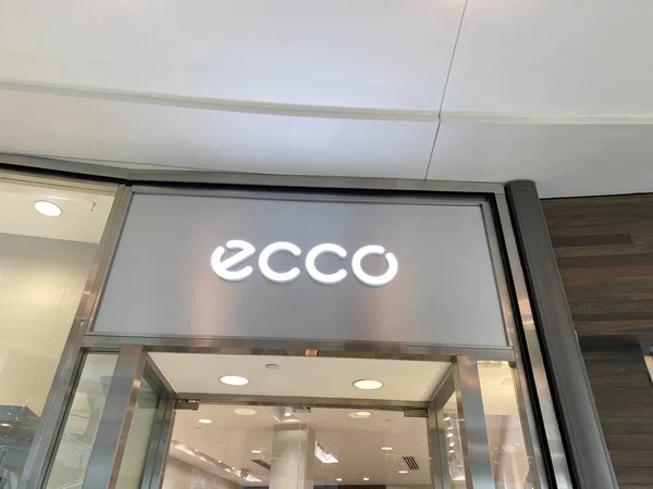 ecco miami