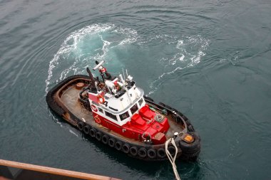 Victoria / Canada-9 / 14 / 19: Bir römorkör liman hattını bir yolcu gemisinden limana bağlamak için sürüklüyor.