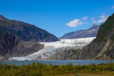 Juneau, Alaska 'daki Tongass Ulusal Ormanı' ndaki Mendenhall Buzulu manzarası.
