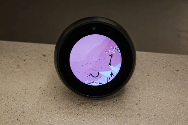 Seattle Usa Amazon Alexa Echo Spot Conhecido Como Alexa Assistente — Fotografia de Stock