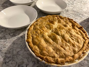 Ev yapımı tavuklu turta taze pişmiş ve fırından yeni çıkmış..