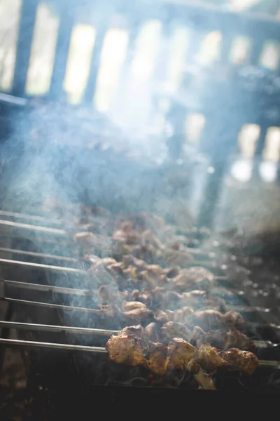 Spieße Auf Spießen Mit Rauch — Stockfoto