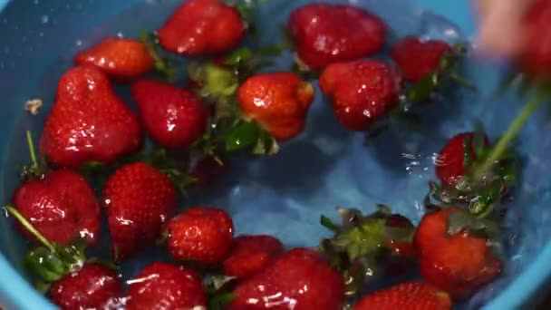 Mano per bambini prende le fragole fuori dall'acqua — Video Stock