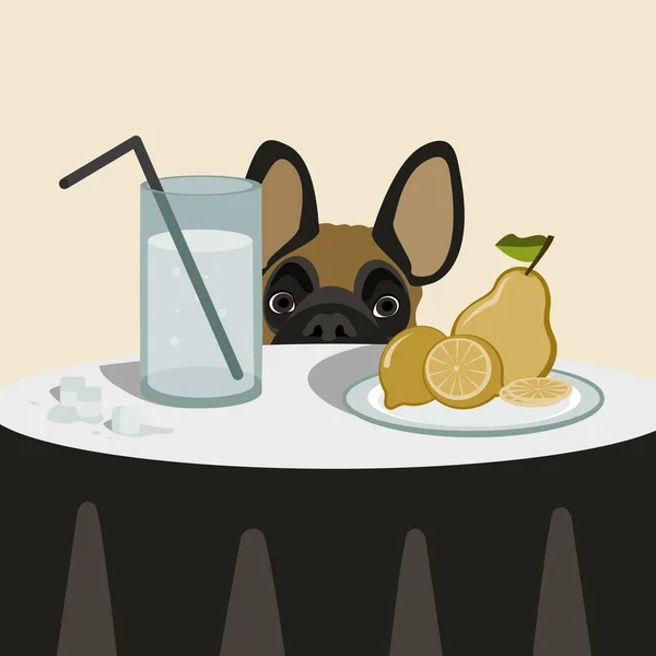Masanın arkasından izleyen Fransız bulldog resmi, basit, temiz vektör dosyası May amaçları ve tamamen düzenlenebilir