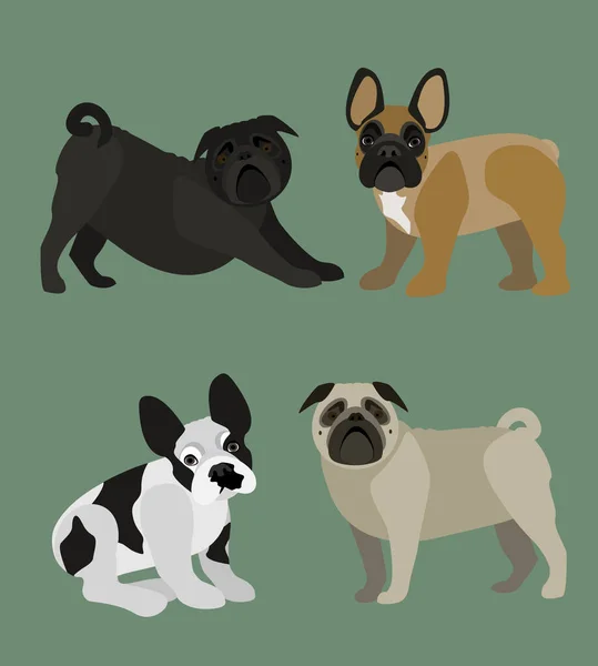 多くの目的のための様々な位置 きれいな幾何学的ベクトルファイルの中のモロ犬のセット パグとフランスのブルドッグ — ストックベクタ