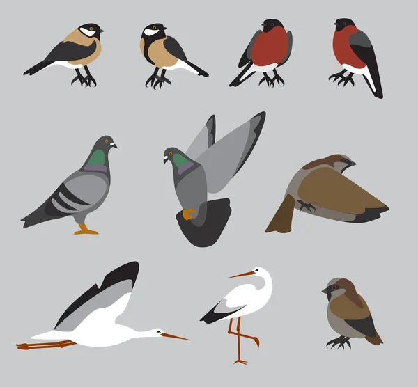 Çeşitli pozisyonlardaki tipik, sıradan şehir kuşları, farklı amaçlar için temiz ve düzenli vektör dosyası, geometrik, minimal şekiller