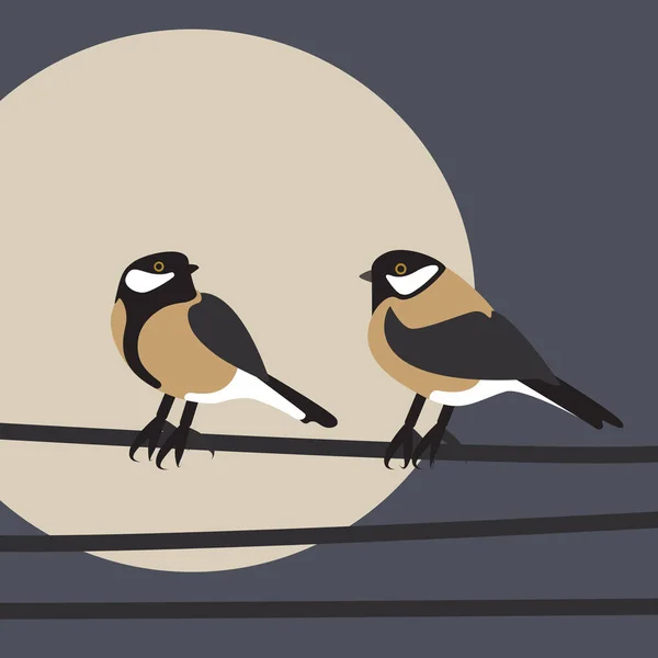 İki kuşun basit bir çizimi, erkek memelerin oturuşu. Temiz, geometrik vektör dosyası, çeşitli amaçlar için tamamen düzenlenebilir..