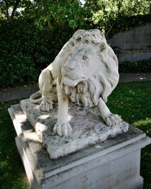 Aslan heykeli. Parkta güneşli bir gün.