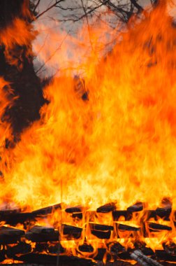 Ateşin büyük dilleri.