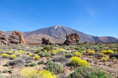 Volkan Teide Tenerife, İspanya, görüntüleme