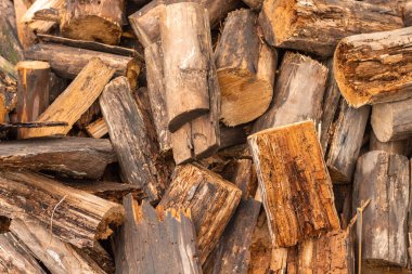 Rastgele yerleştirilmiş odun. Yeni kesilmiş bir odun yığını.