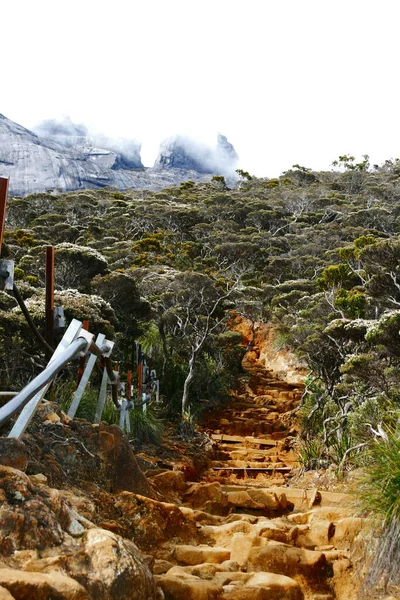 Kinabalu patikasının taş merdivenleri.