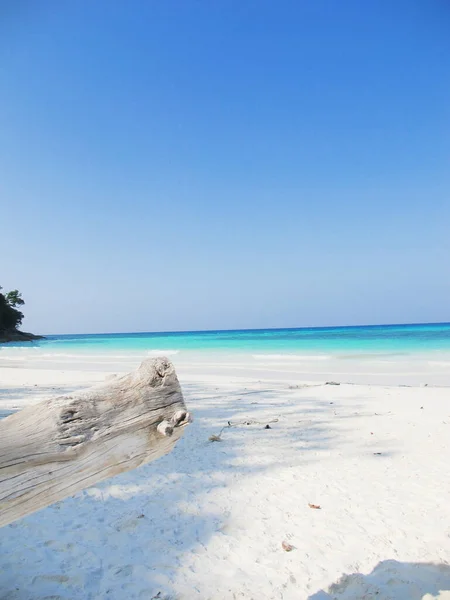 Torrt Trä Stranden Med Vit Sand Blått Hav Och Klarblå — Stockfoto