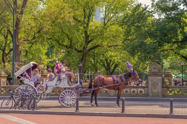 New York, New York / ABD - 24 Temmuz 2019: Central Park 'ta At Arabası