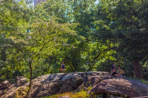 New York, New York / ABD - 24 Temmuz 2019: Hakem Kayası 'nda oynayan çocuklar. Rat Rock (ayrıca Hakem Rock olarak da bilinir), Manhattan, New York City 'deki Central Park' ta bulunan bir kaya yatağı..
