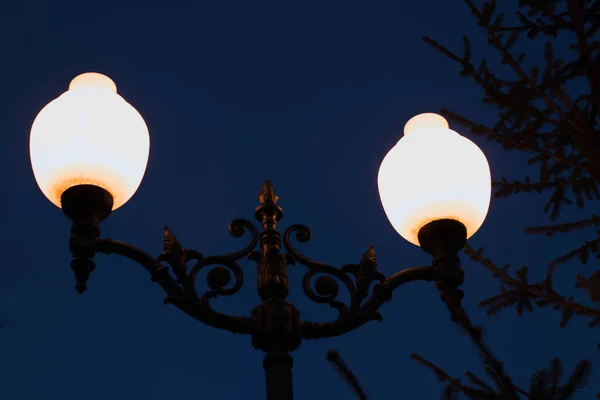 n image of two decorative lamps is in a night municipal park,Illumination soft light of avenue of park.