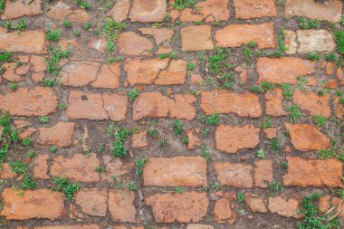Yağmurdan sonra eski tuğladan yapılmış patika.