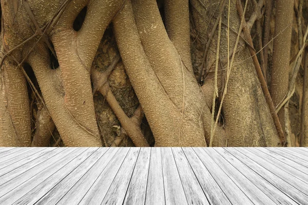 Houtstructuur oppervlak met houten terras — Stockfoto