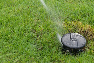 Çim sahada makarası